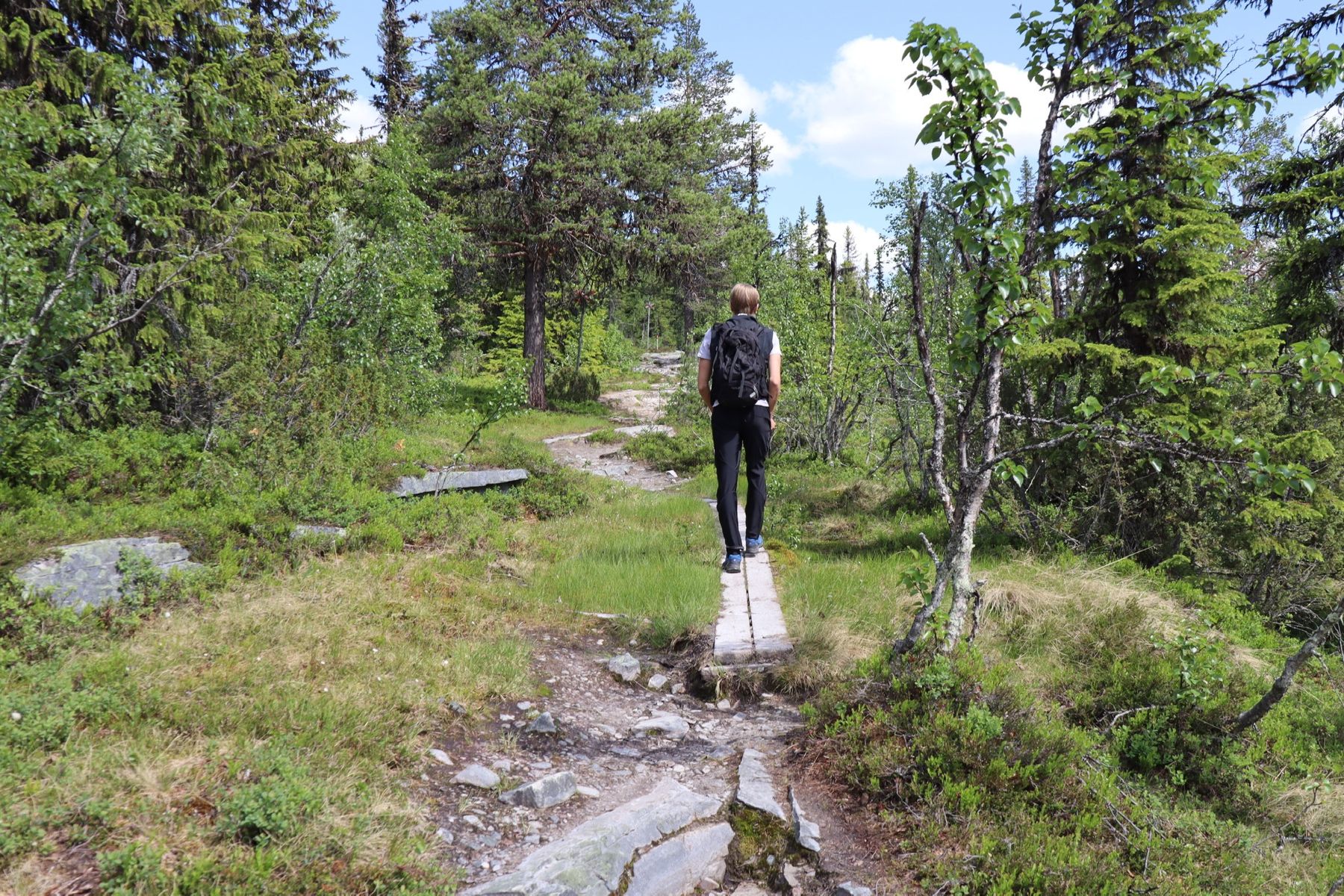 Bild på tomten